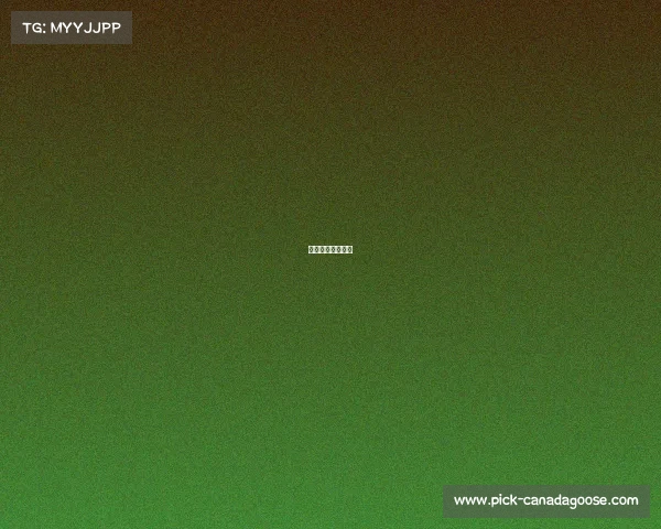 秀山体育馆篮球场