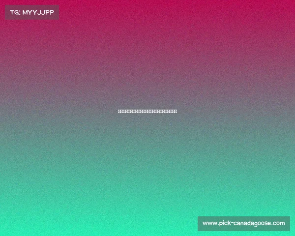 马术俱乐部主营赛事:精英骑手巅峰对决骏马竞技盛宴